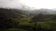 Cameron Highlands