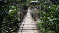 hangbrug